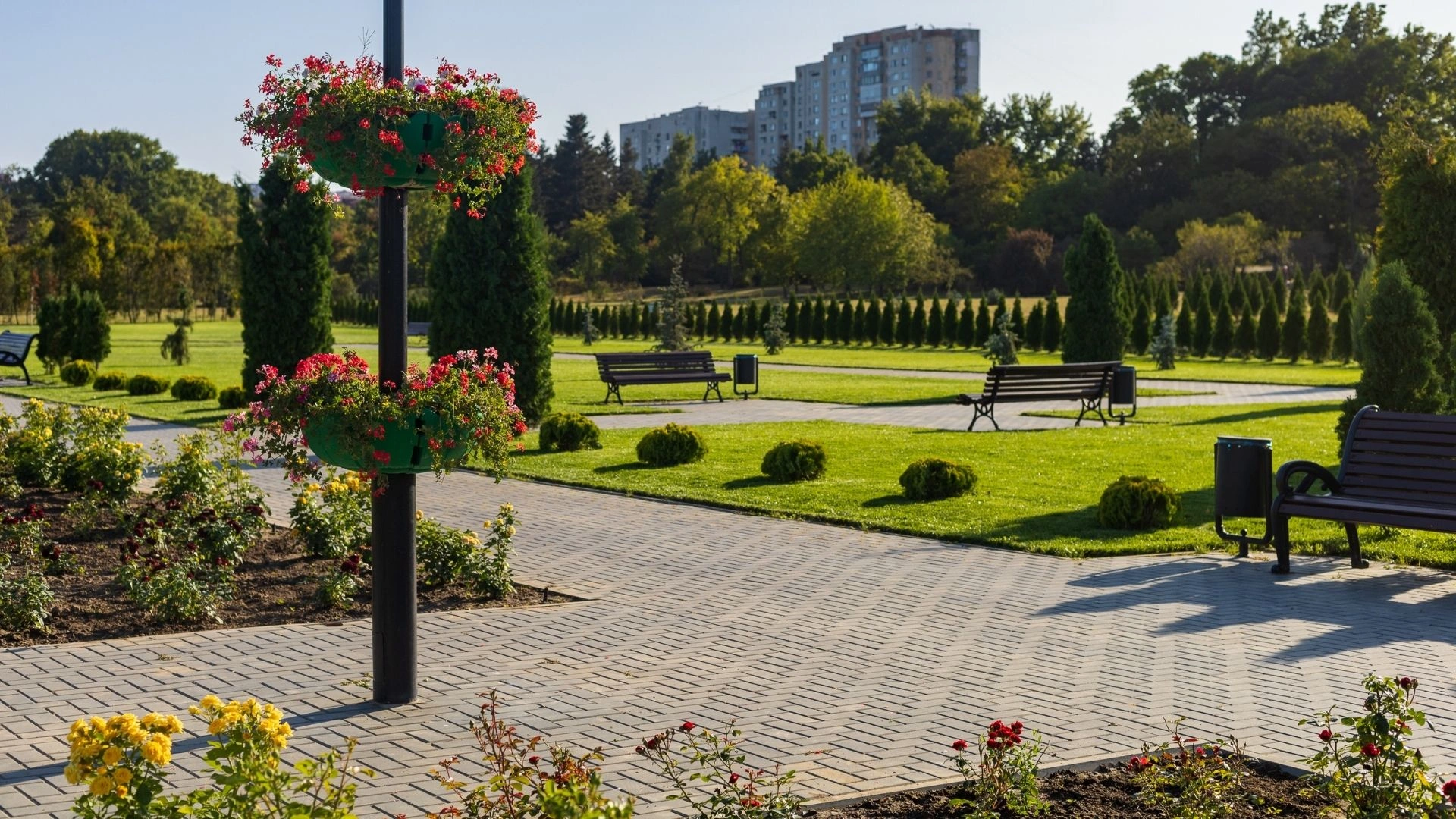 Modern Park